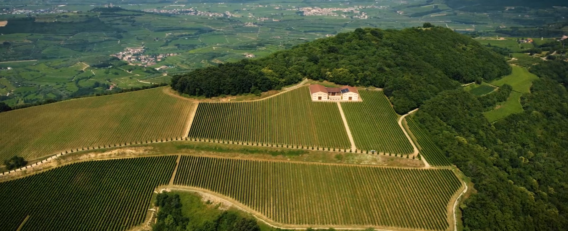 Fattori Gregoris